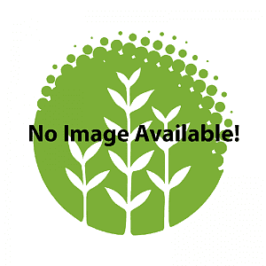 no-photo-available-800px.png