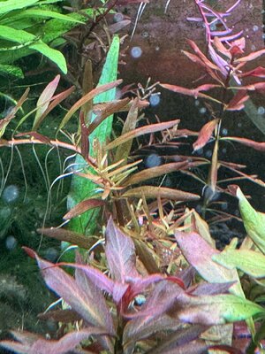 IMG_4309.jpeg IMG_4309.jpeg