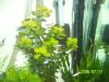 100_1477.jpg
